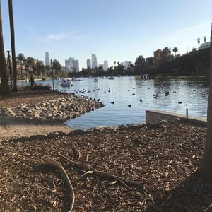 Meet your Posher, Rolando